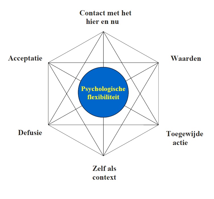 ACT hexaflex